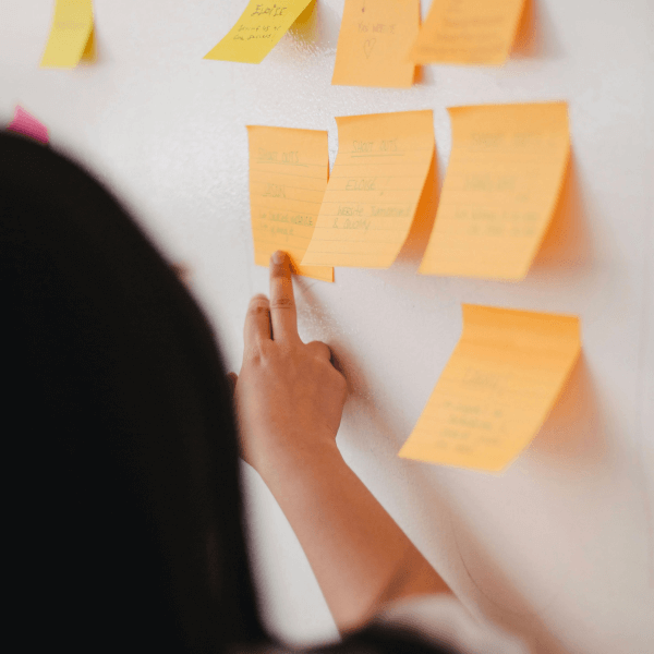 Portfolio Neve Marketing Agency 14